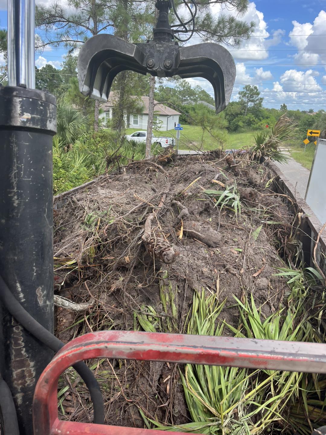 Yard Cleanup Service